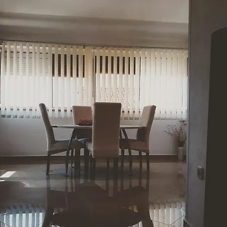 Toni Privlacka 32 * Zadar