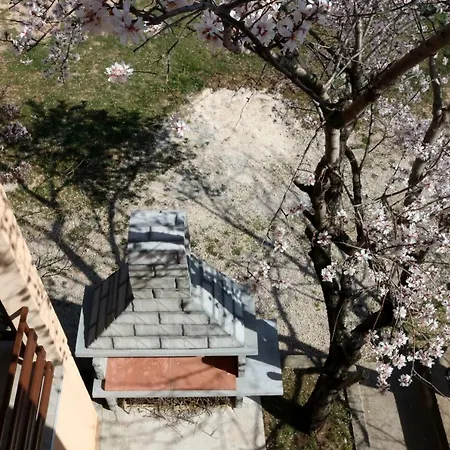 Toni Privlacka 32 * 扎达尔